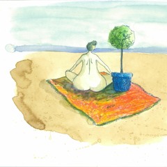 Wild Honey Collective