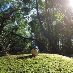 Nilo