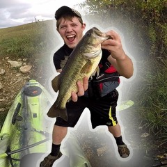 Snarin'Bait