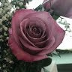 User 611510897