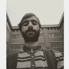 ali gholami