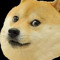 vegesshsae