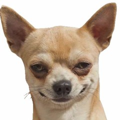 Илья Салтовец