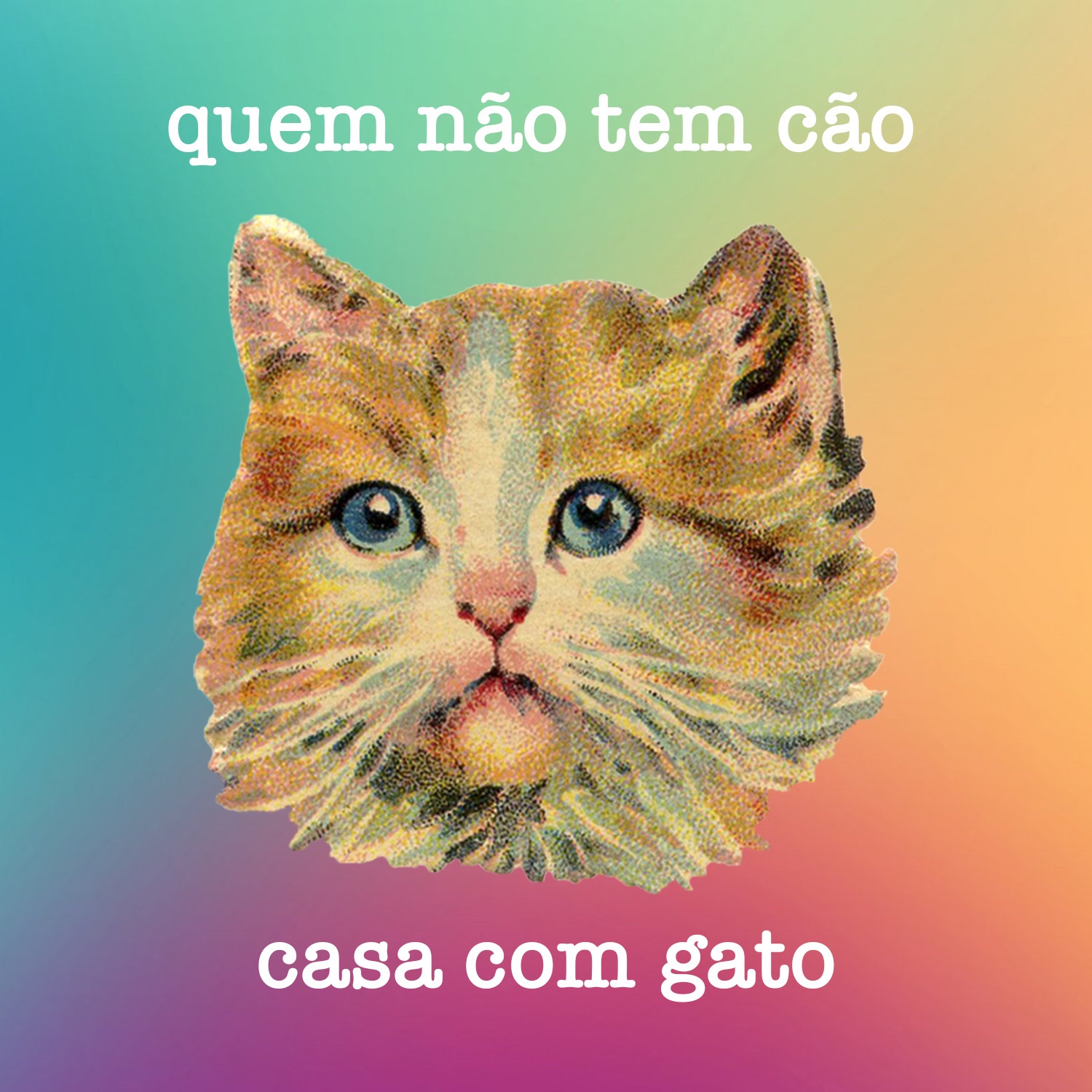 quem não tem cão, casa com gato
