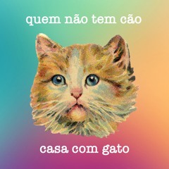 quem não tem cão, casa com gato