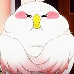 hime hime