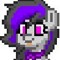 Vylet