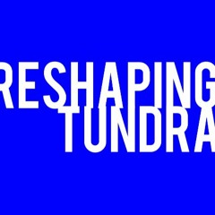 Reshaping Tundra