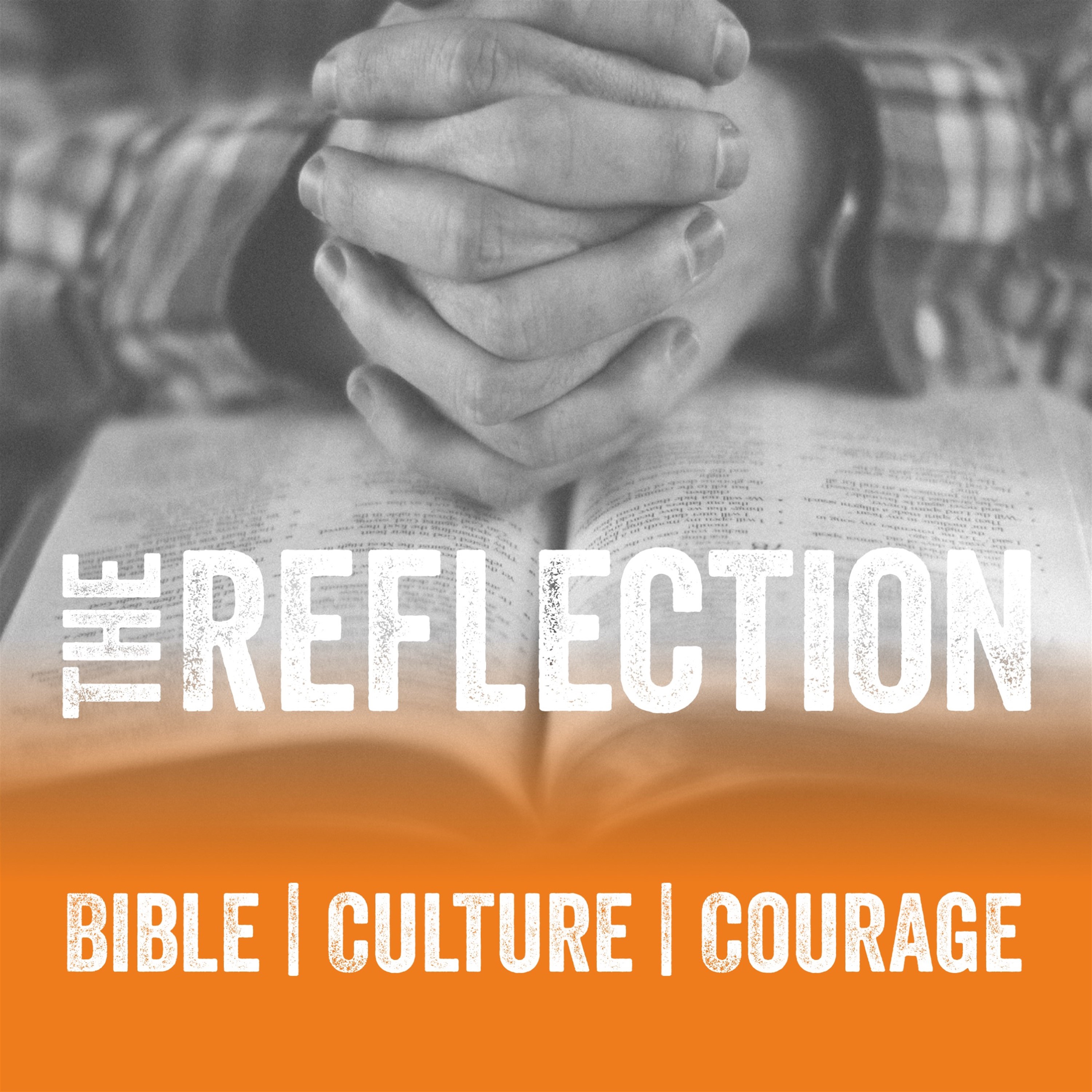 The Reflection Daily Bible and Apologetics