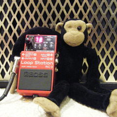 looppedalmonkey