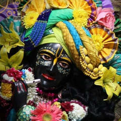 rajender9873