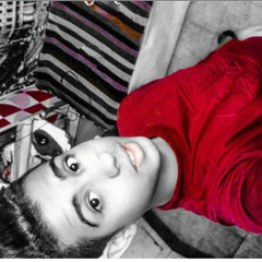 sakr nader