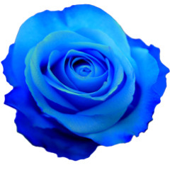 Crywank - Little Creepy [ Lyrics ]