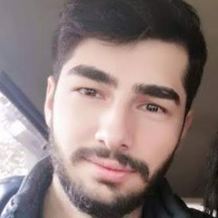 erekleberdzenishvili2