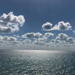 Jason Mandanici Turcot