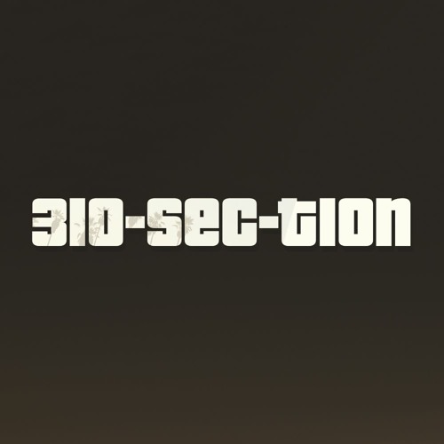 310section’s avatar