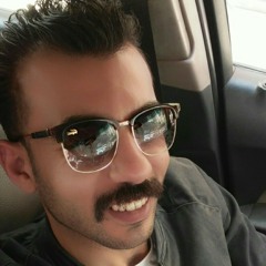 Ahmed alarini