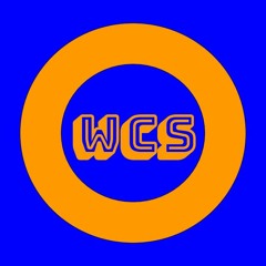 TheWorstCaseScenario