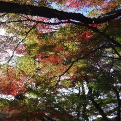 Takuro.A_Taku (Demo Songs)