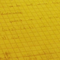 Programmer