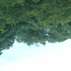 ryoto05159