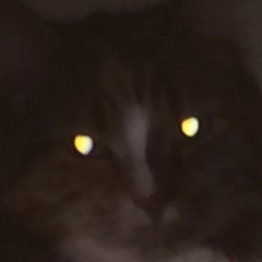 lmao alriiiiteeee he he he