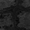 KYMOGRAPH