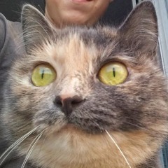 Миша Иванов