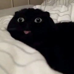 Zul OwO