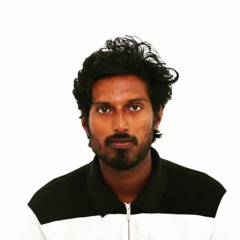 Baby shark in sunset