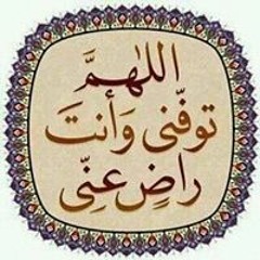 بارديس نوح