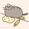 Baker_Cat