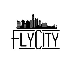 Flycity