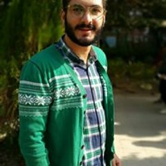 rom ashraf