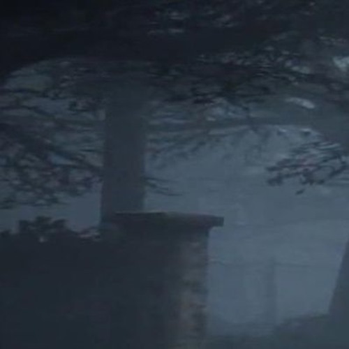 Silent Hill Society’s avatar
