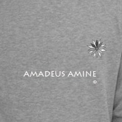 amadeus amine project