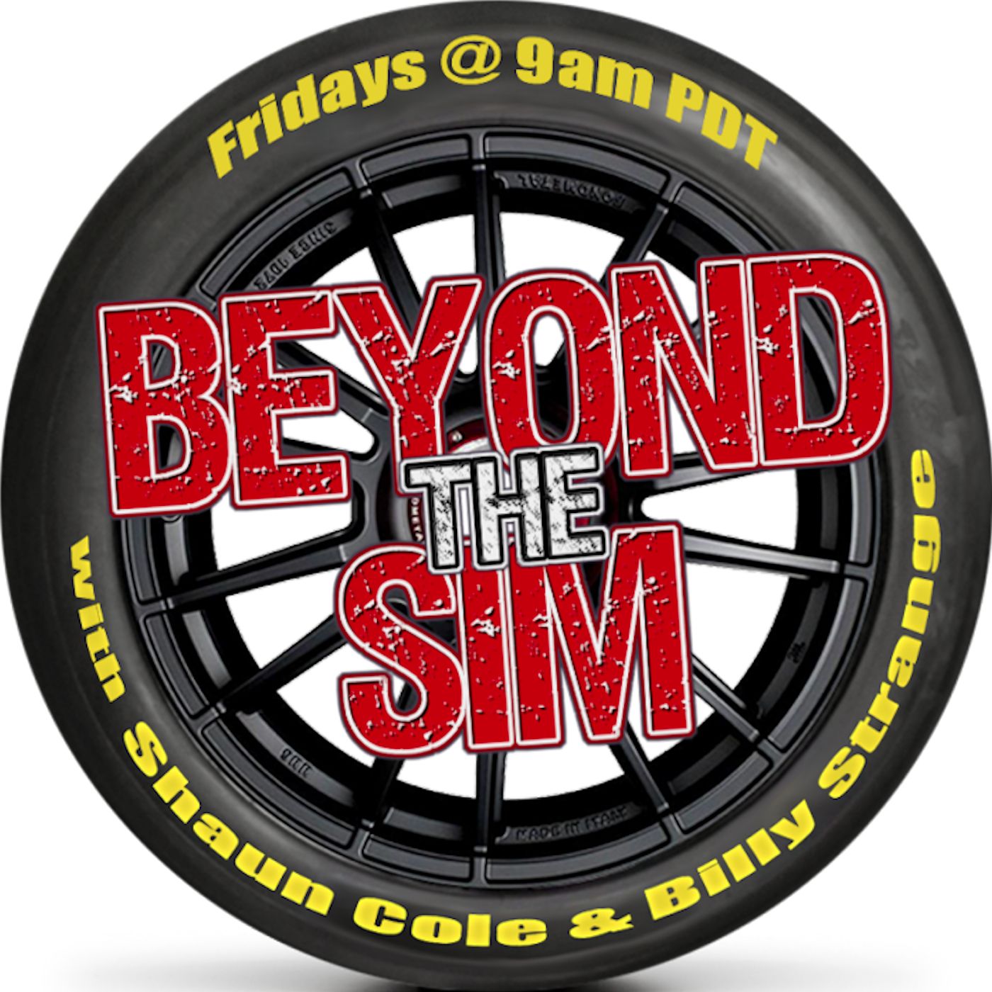 Beyond The Sim