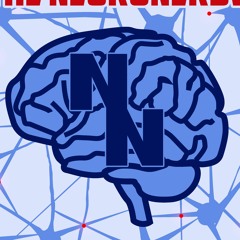The NeuroNerds Podcast