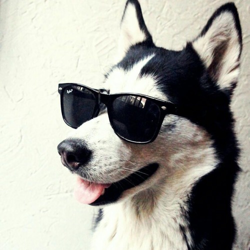 McAlvis - Before Sunrise