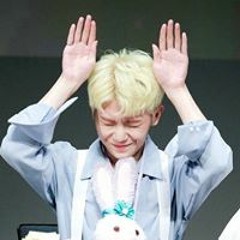 Leejih