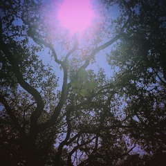 Come As You Are-Sinister Kid