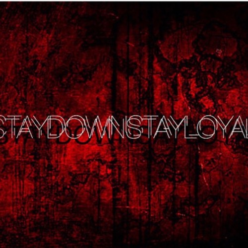 STAYDOWNSTAYLOYAL MUSIC’s avatar