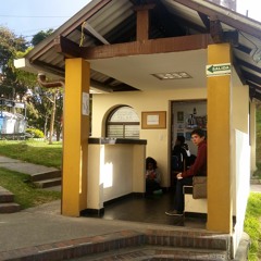 Centro de Escritura TELAR