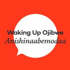 Waking Up Ojibwe - Anishinaabemodaa