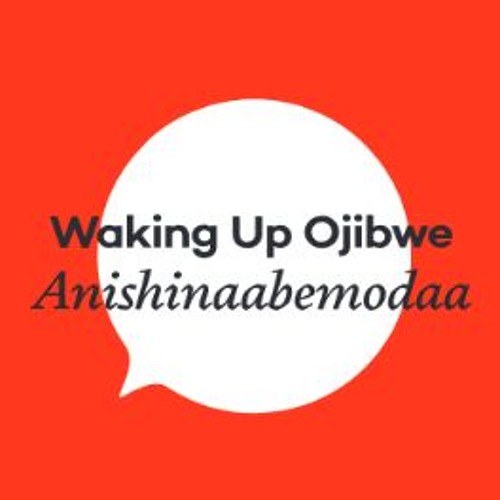 Waking Up Ojibwe - Anishinaabemodaa’s avatar
