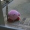 Kirby with a knife
