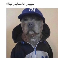 Tariq ALassaf