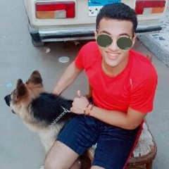 ahmedmagidy05