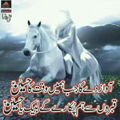 kawish afzal