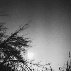 kodeinin gözyaşları